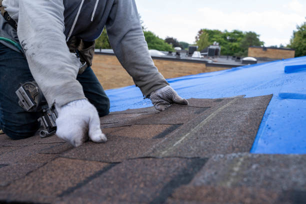 Best Local Roofing Companies  in Raintree Plantation, MO