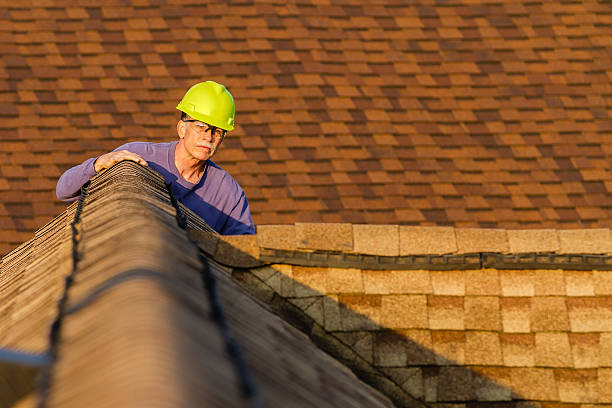 Best Roof Gutter Cleaning  in Raintree Plantation, MO